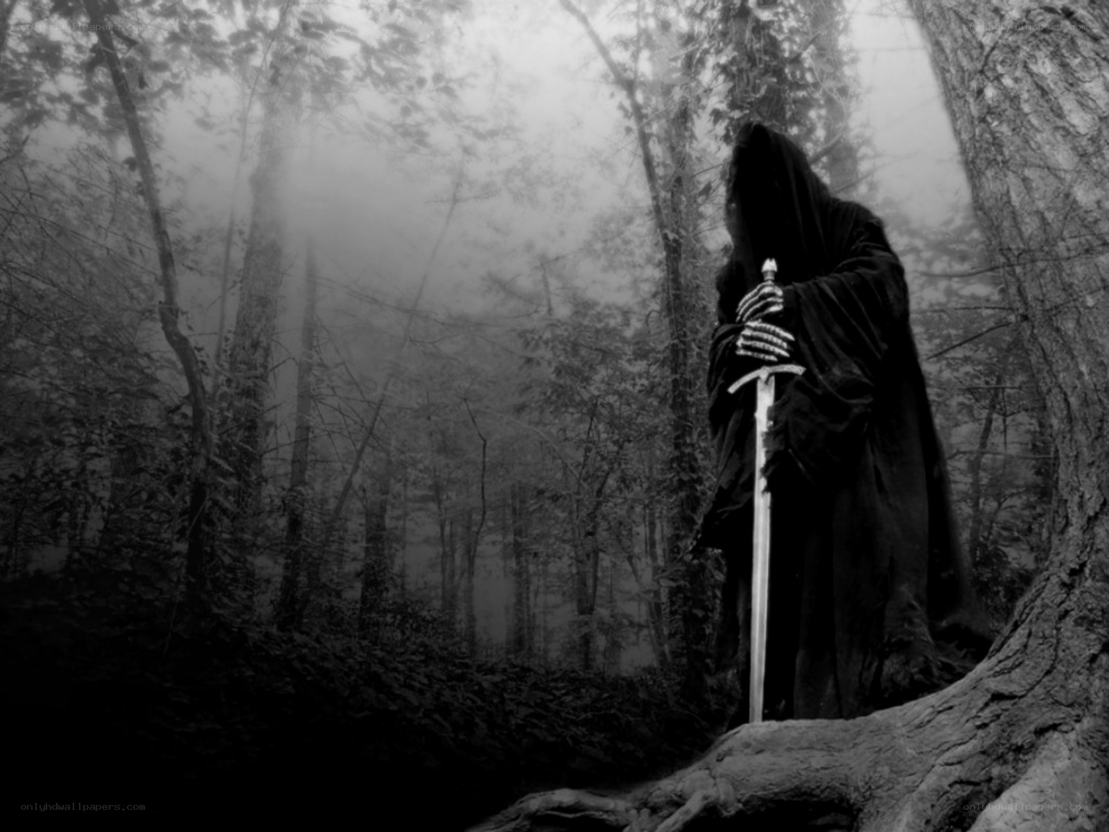 hooded figure in misty forest