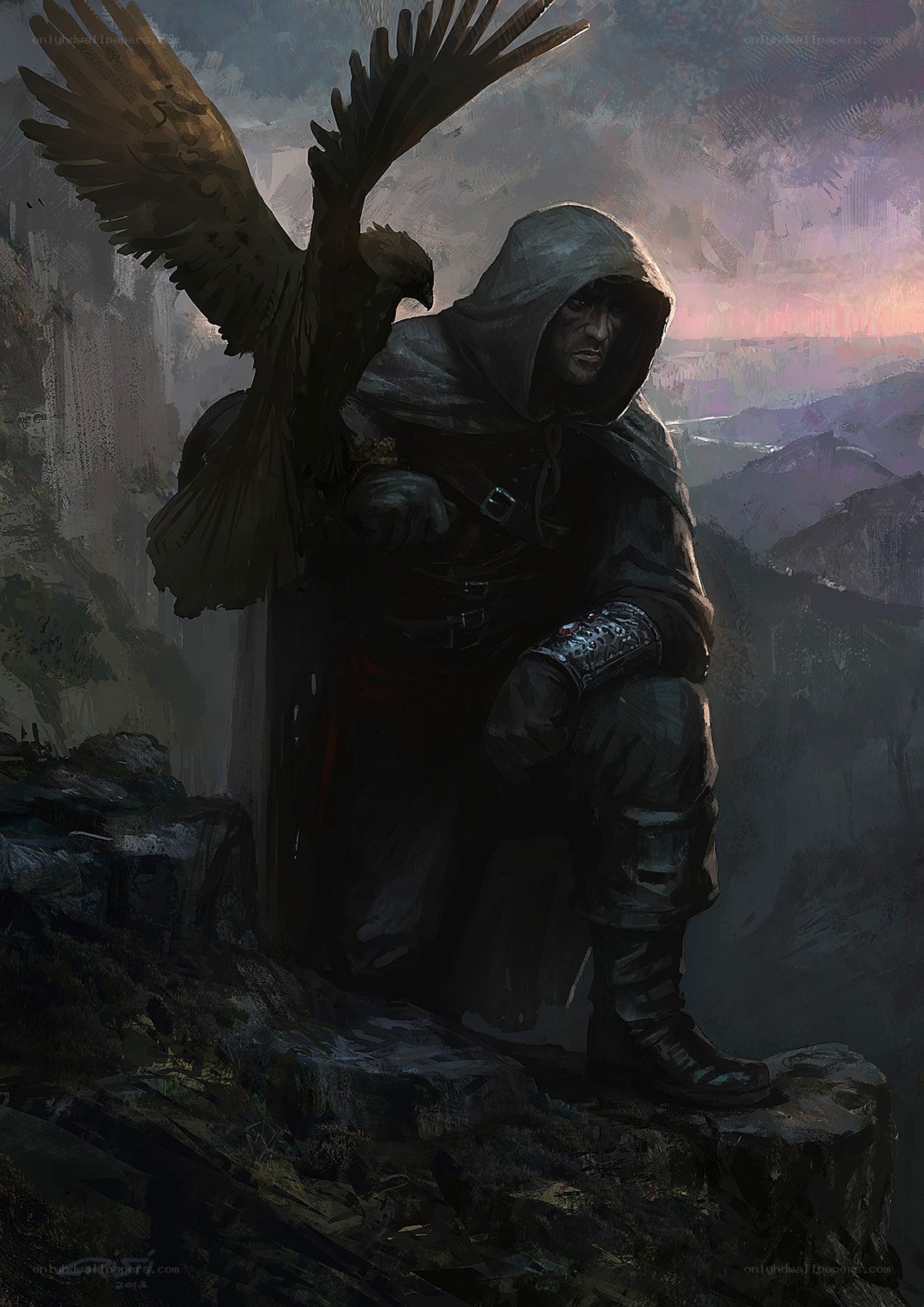 hooded figure with falcon