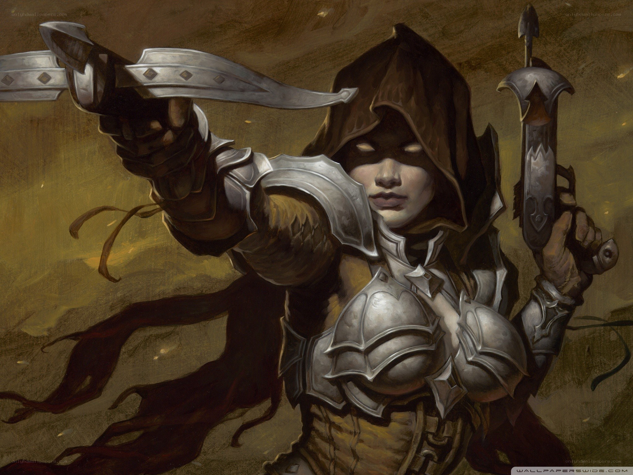 hooded warrior with blades