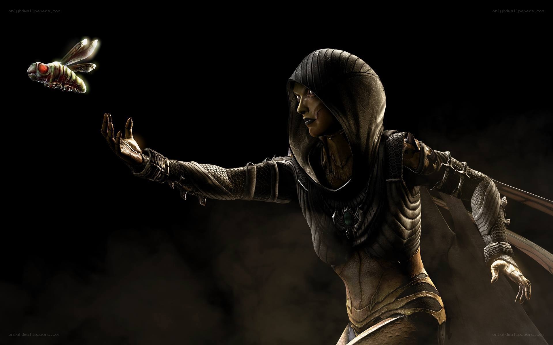 hooded warrior with insect companion