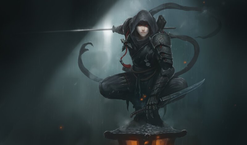Hooded Warrior with Swords — Black, Dramatic