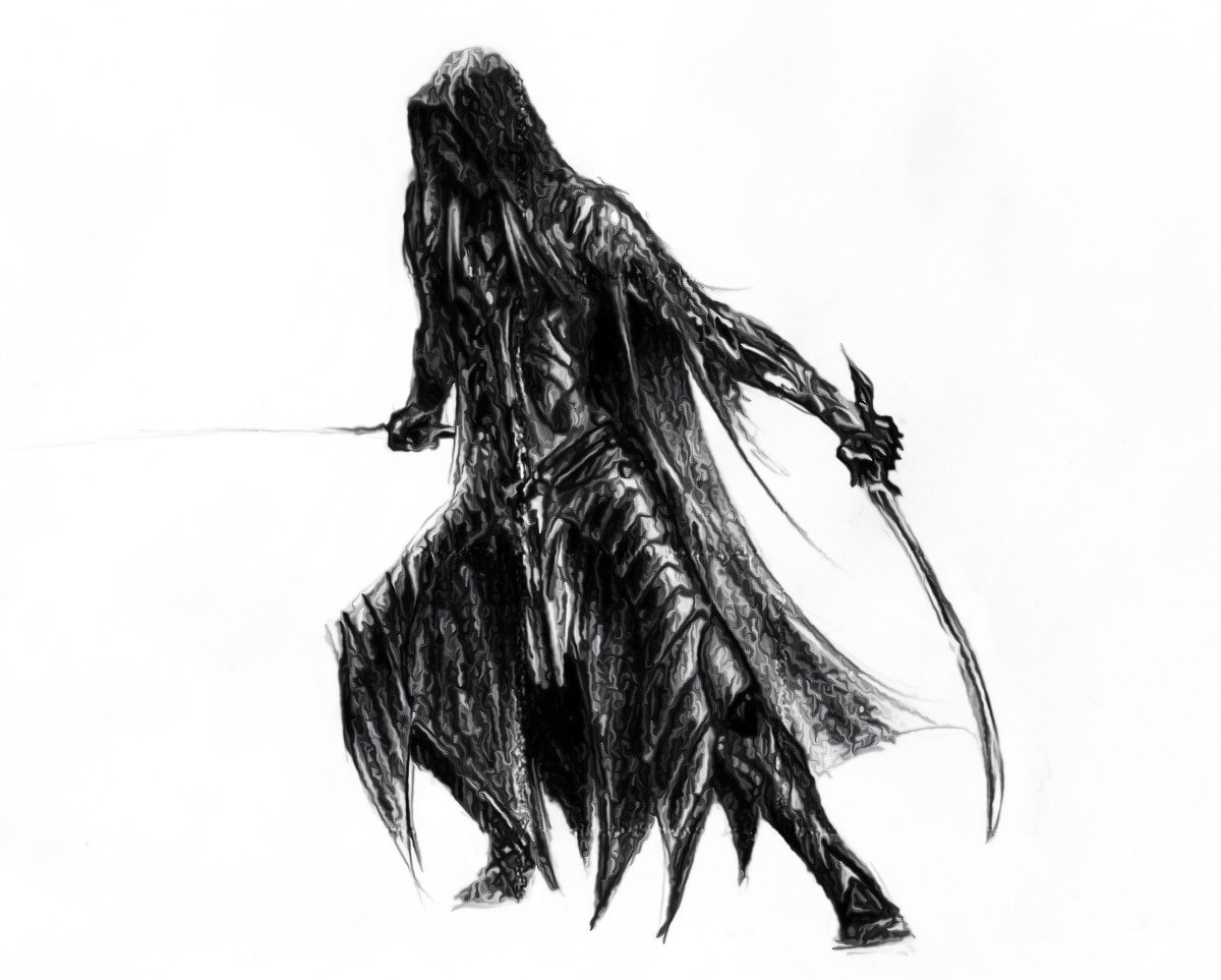 hooded warrior with swords