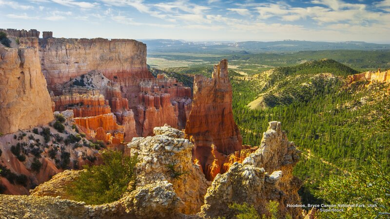 Hoodoos in Bryce Canyon