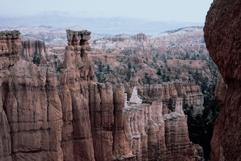 Hoodoos in Canyon — Brown