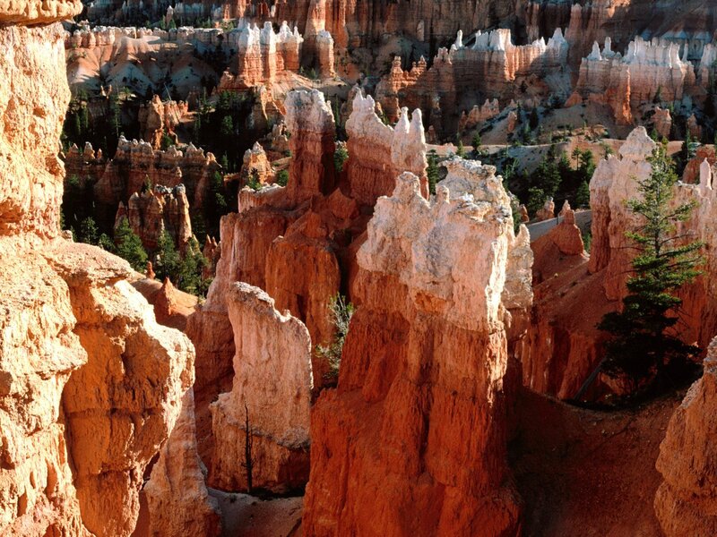 Hoodoos in Canyon — Orange, Dramatic, Afternoon, Photograph, Rock Formations, Trees, White, Green
