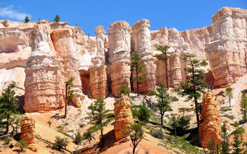 Hoodoos in Canyon — Orange, Dramatic, Afternoon, Photograph, Trees, Cliffs