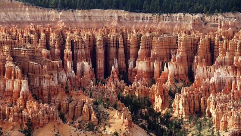 Hoodoos in Canyon — Orange, Dramatic, Afternoon, Photograph, Trees