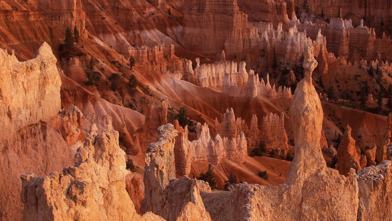 Hoodoos in Canyon — Orange, Dramatic, Sunset, Photograph, Rock Formations, Trees