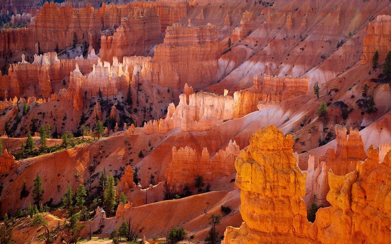 Hoodoos in Canyon — Orange, Dramatic, Sunset, Photograph, Trees