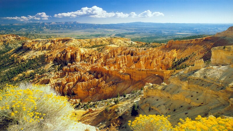 Hoodoos in Canyon — Orange, Serene, Afternoon