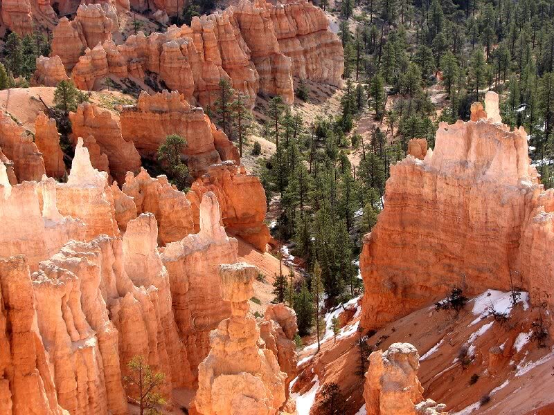 Hoodoos in Canyon — Orange, Serene
