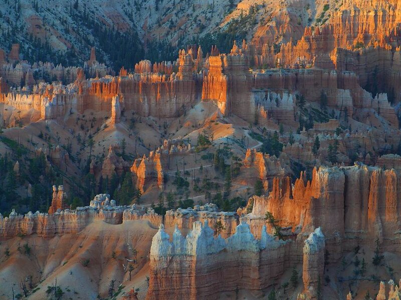 Hoodoos in Canyon — Orange