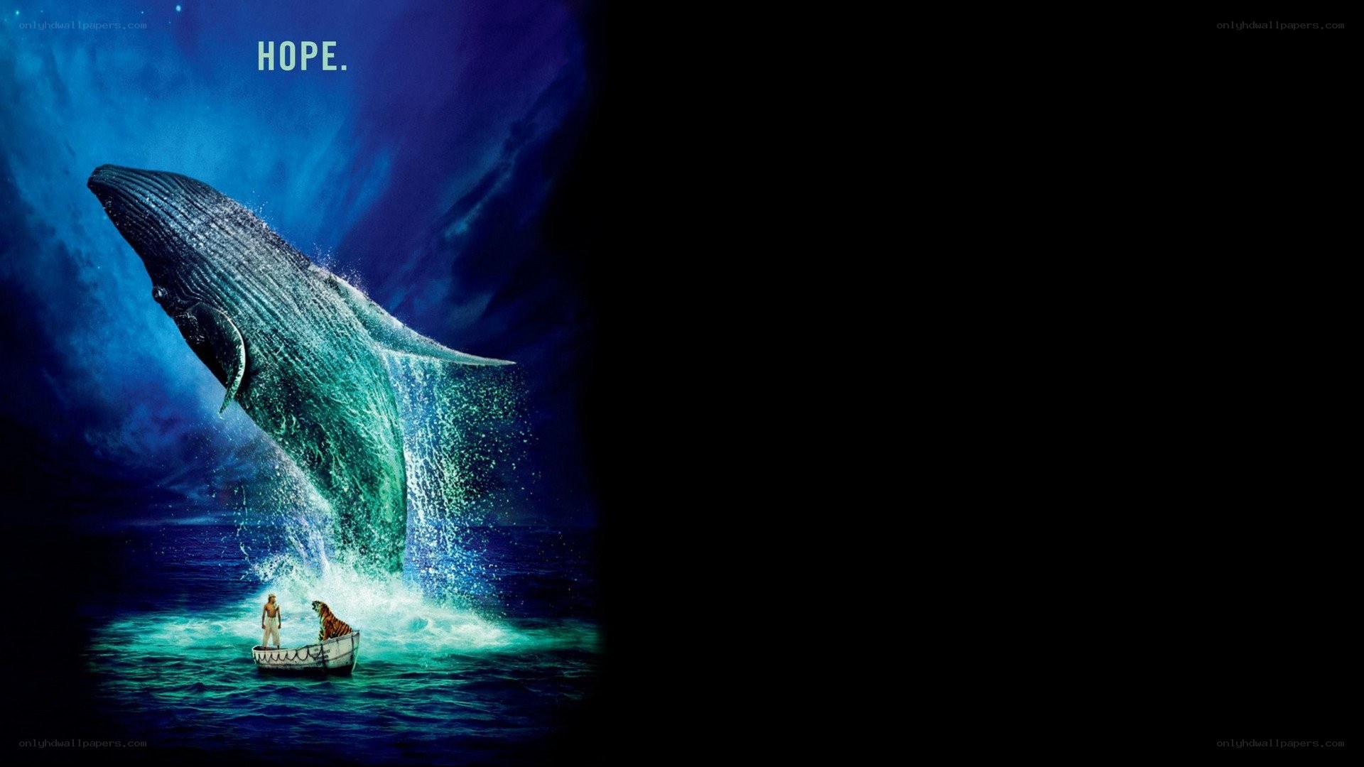 hope and a whale