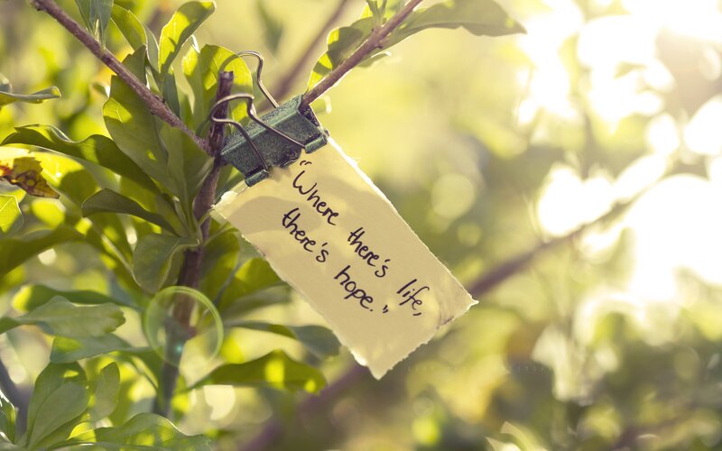Hope note on a tree branch