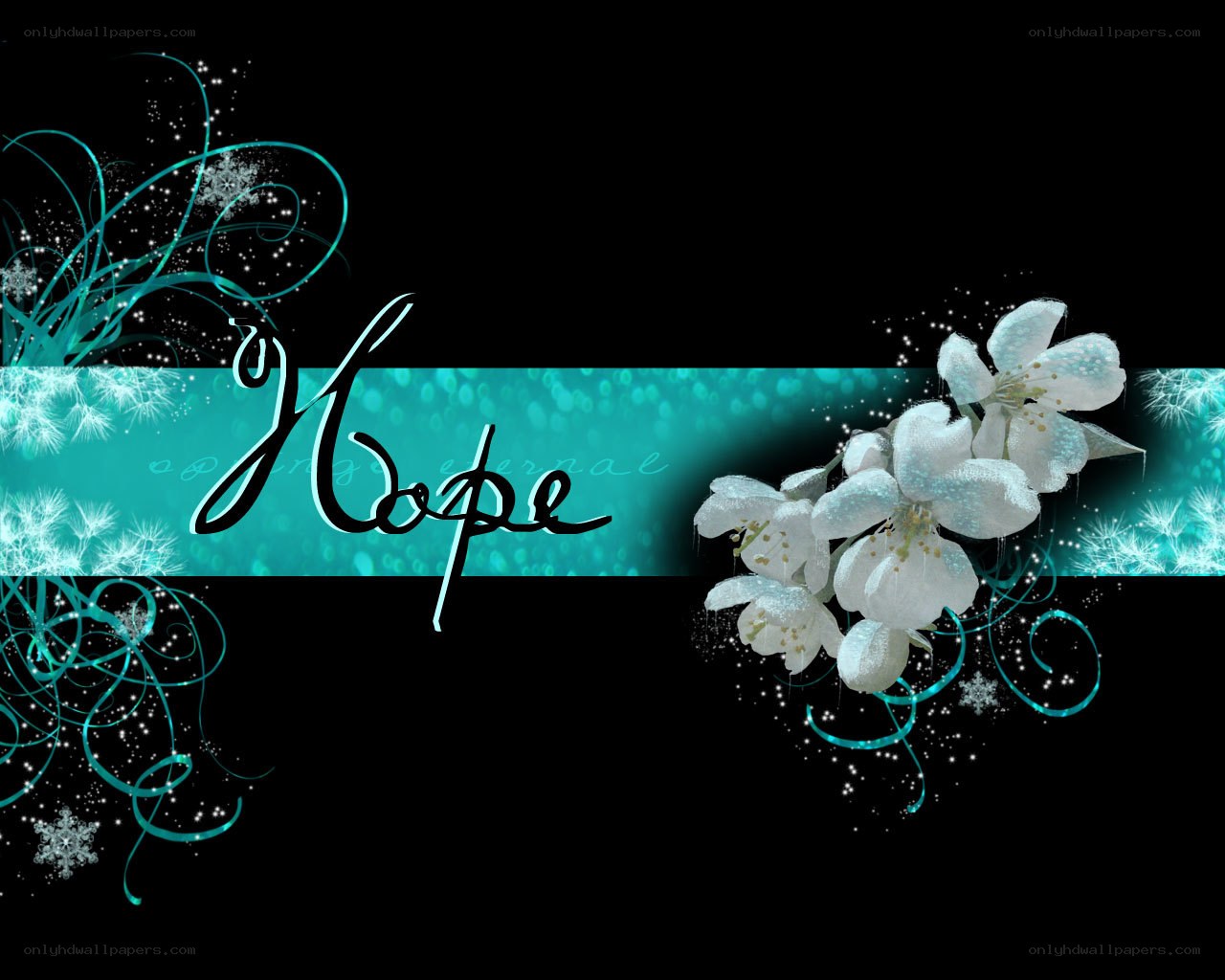 Hope with flowers and snowflakes