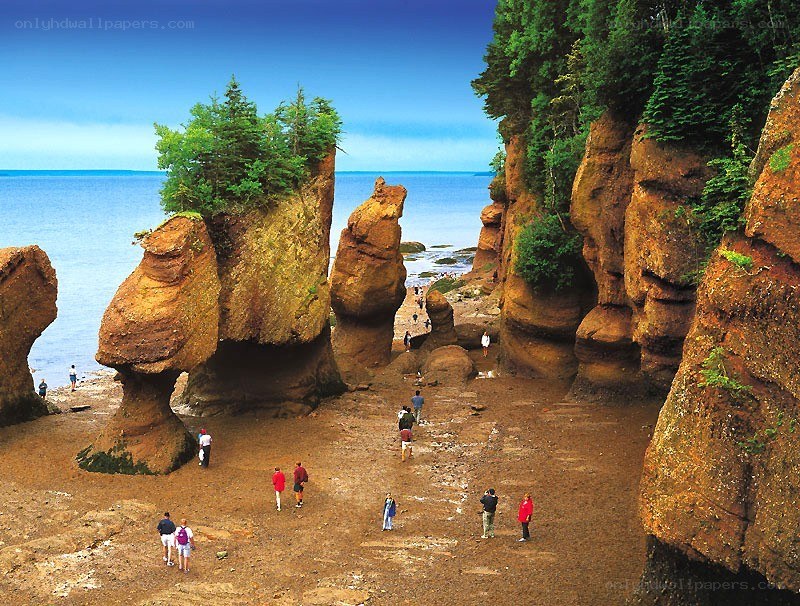 Hopewell Rocks formation