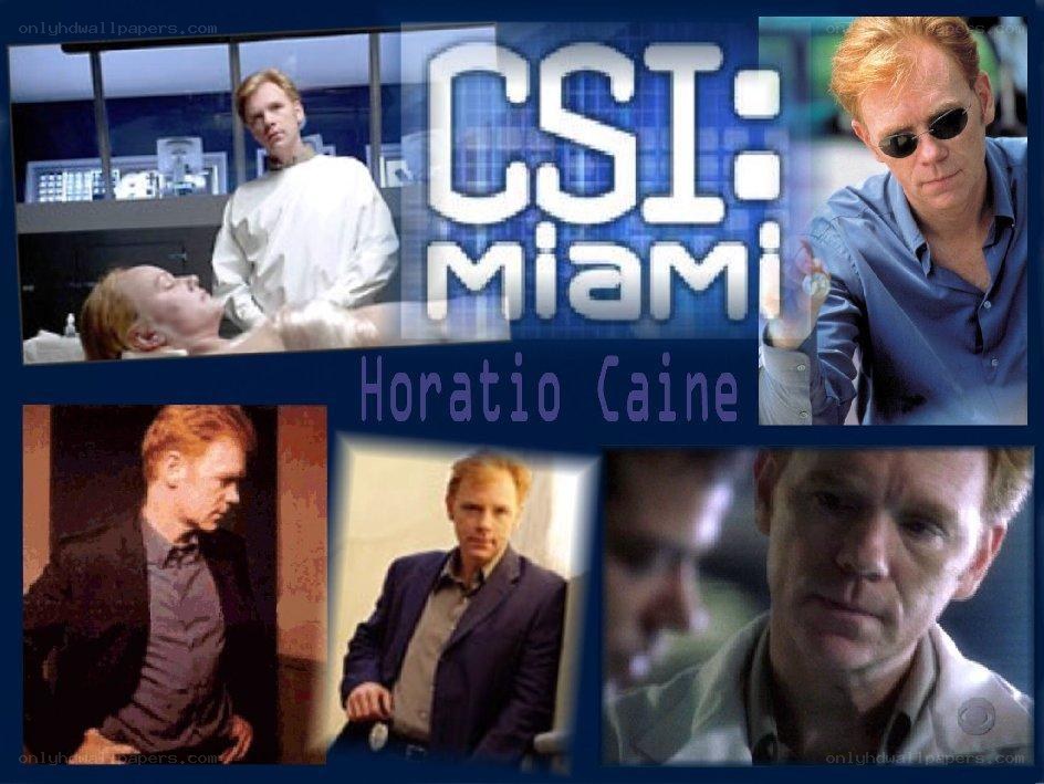 Horatio Caine from CSI Miami