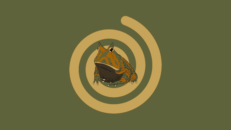 Horned Frog Illustration