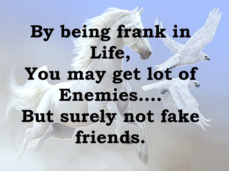 Horse and birds with quote