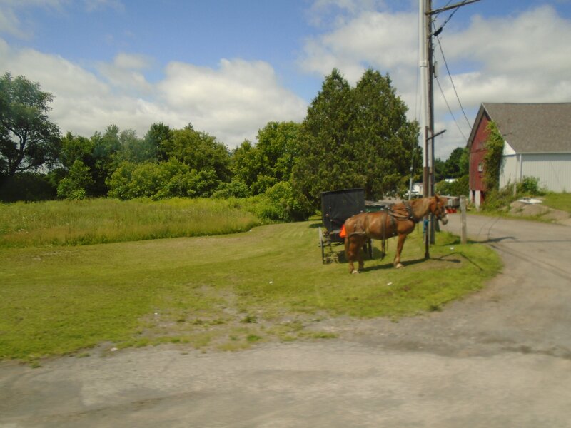Horse and Buggy