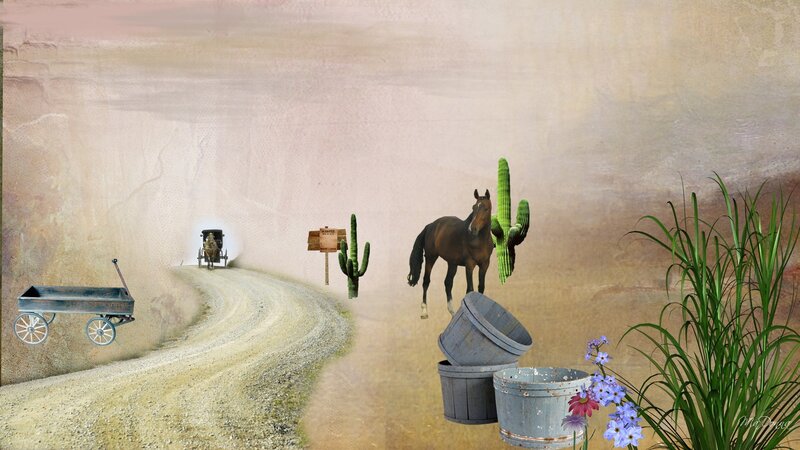 Horse and Cacti on Dirt Road