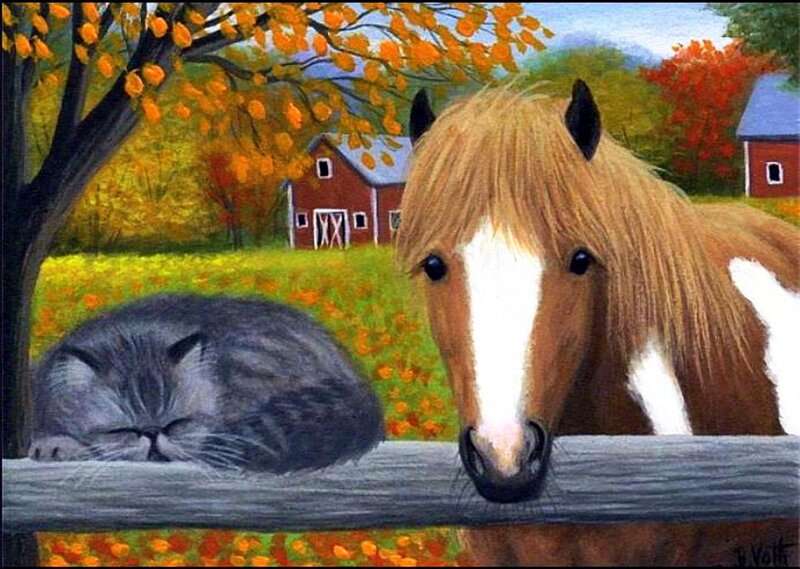 Horse and Cat in Field