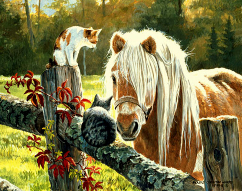 Horse and cats in a field