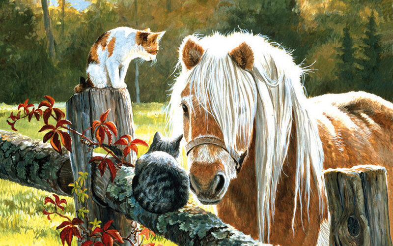 Horse and Cats on Fence