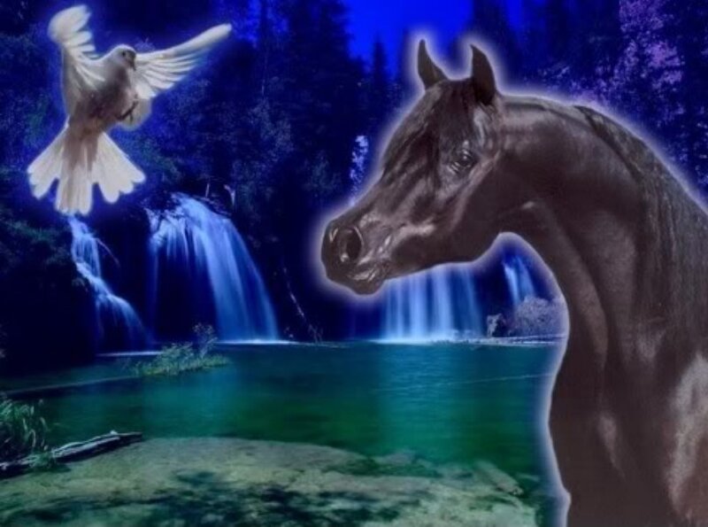 Horse and dove by waterfall