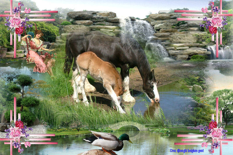 Horse and Foal Drinking