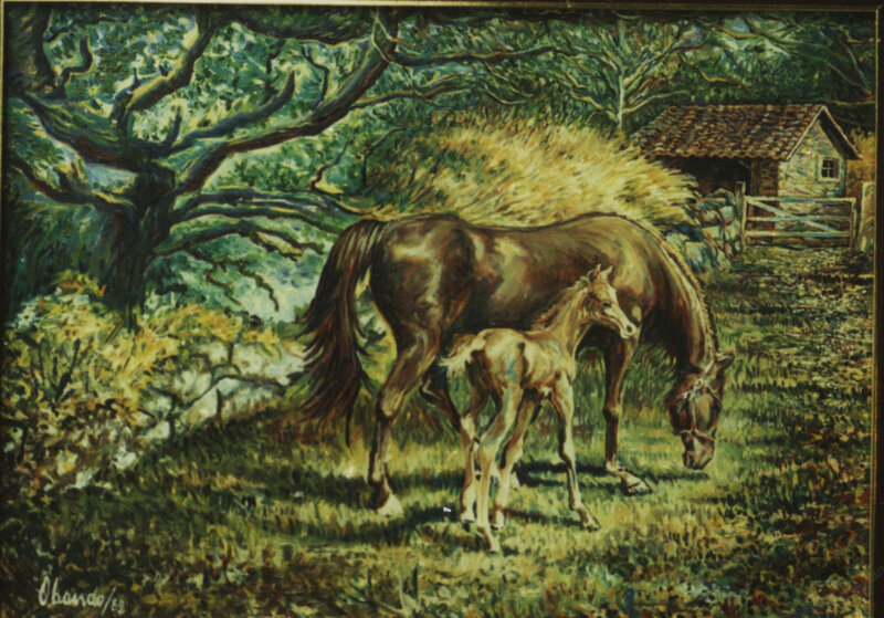 Horse and foal in a field
