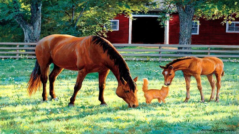 Horse and Foal in Field — Green, Serene, Afternoon