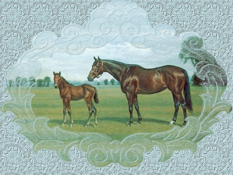 Horse and Foal in Field
