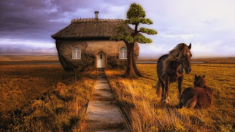 Horse and Foal in Field — Yellow