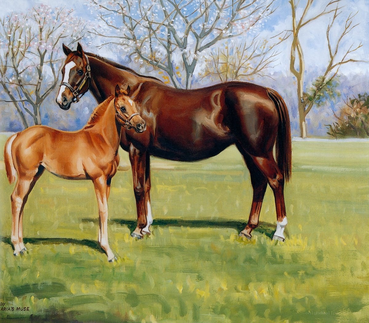 Horse and foal in spring