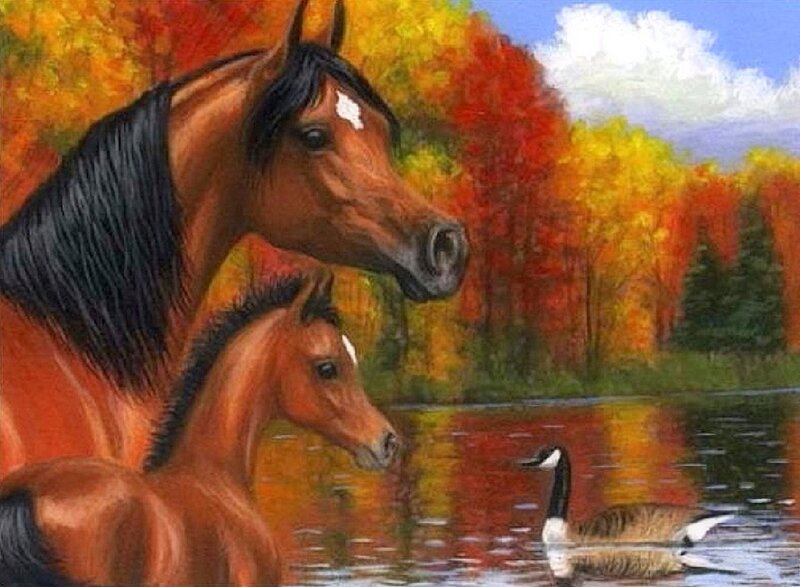 Horse and Foal — Orange, Serene