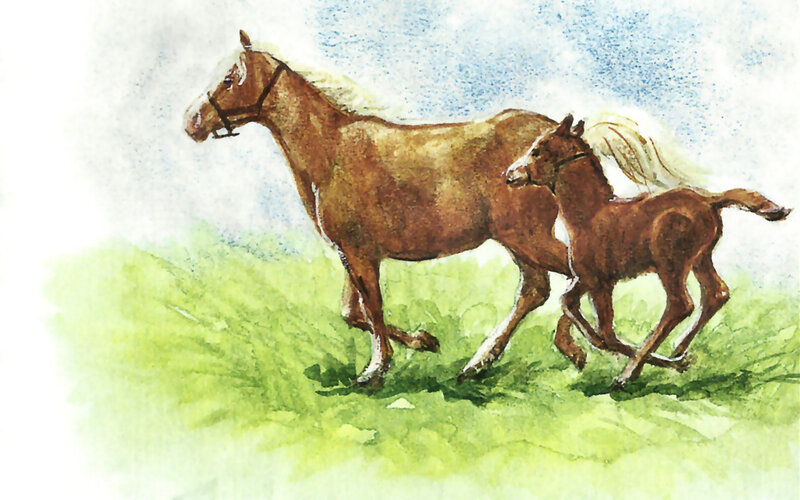 Horse and Foal Running — Brown