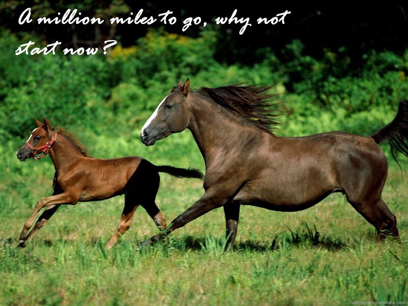Horse and Foal Running — Green