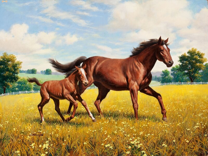 Horse and foal running in field