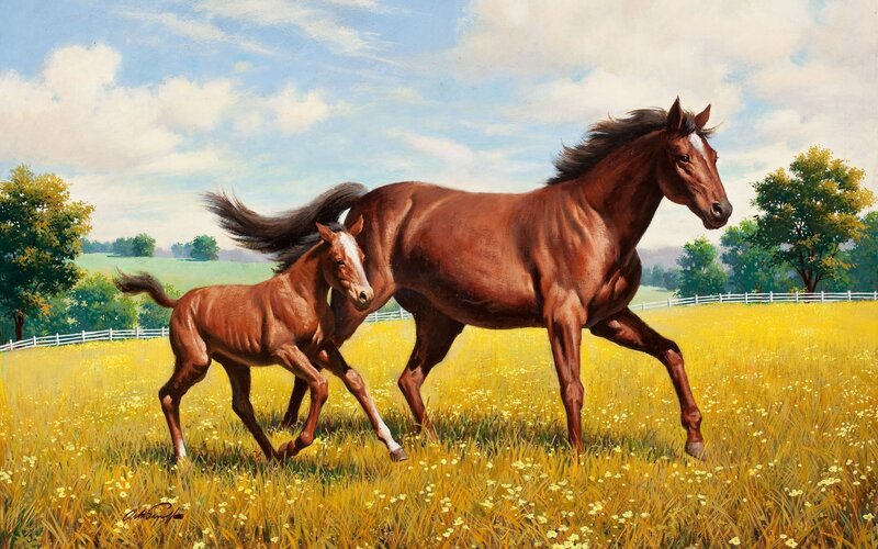 Horse and foal running in field