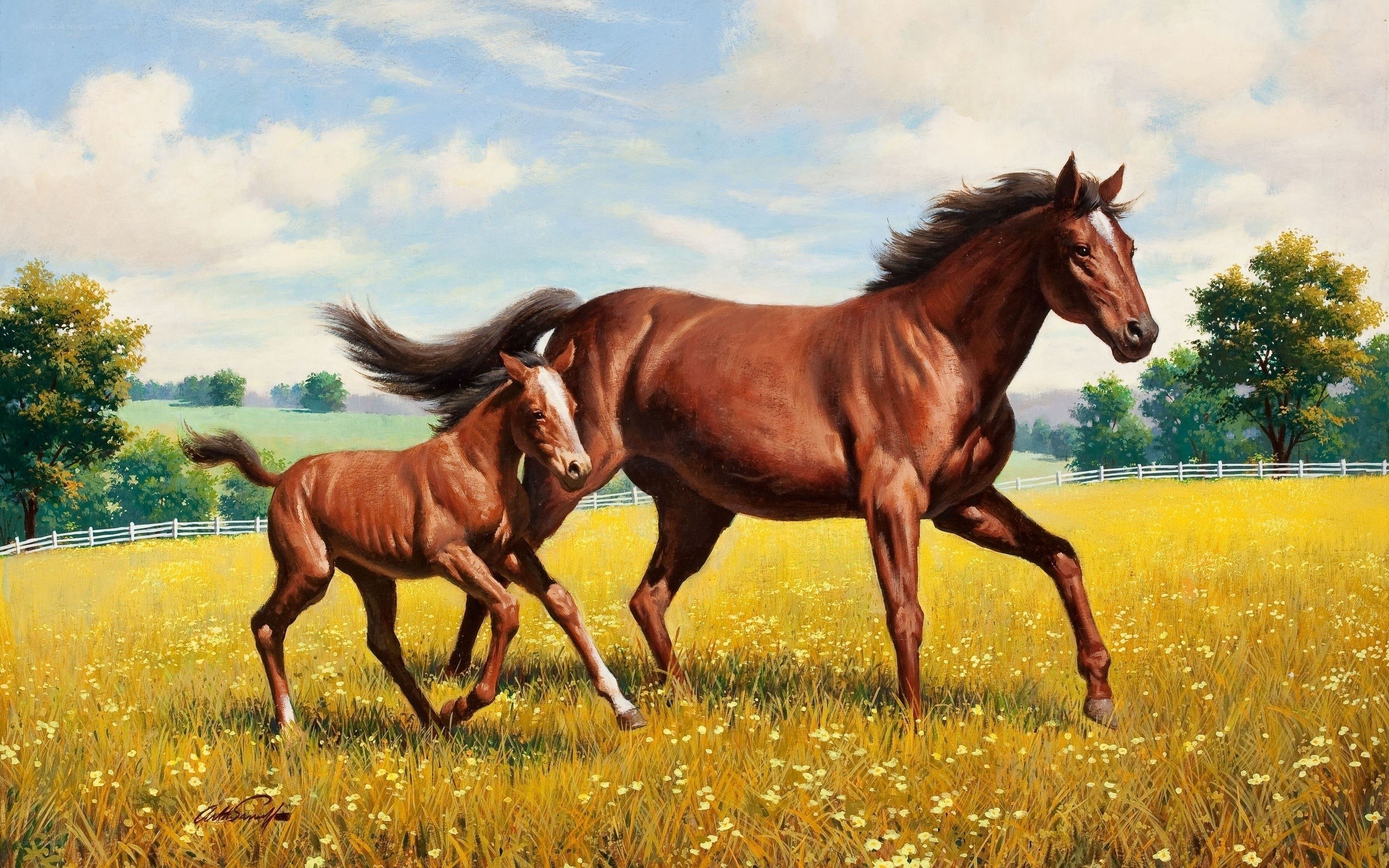 Horse and foal running in field
