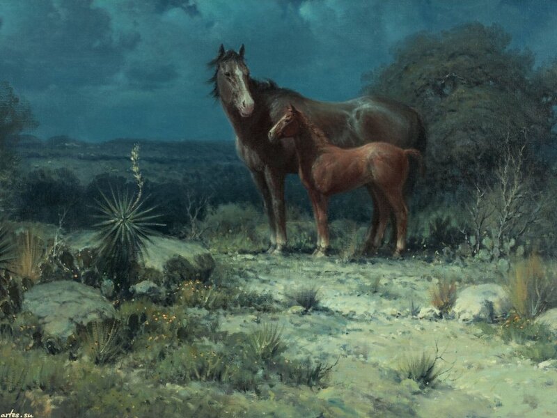 Horse and Foal Standing