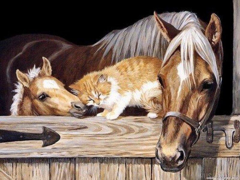 Horse and Kitten — Brown, Peaceful