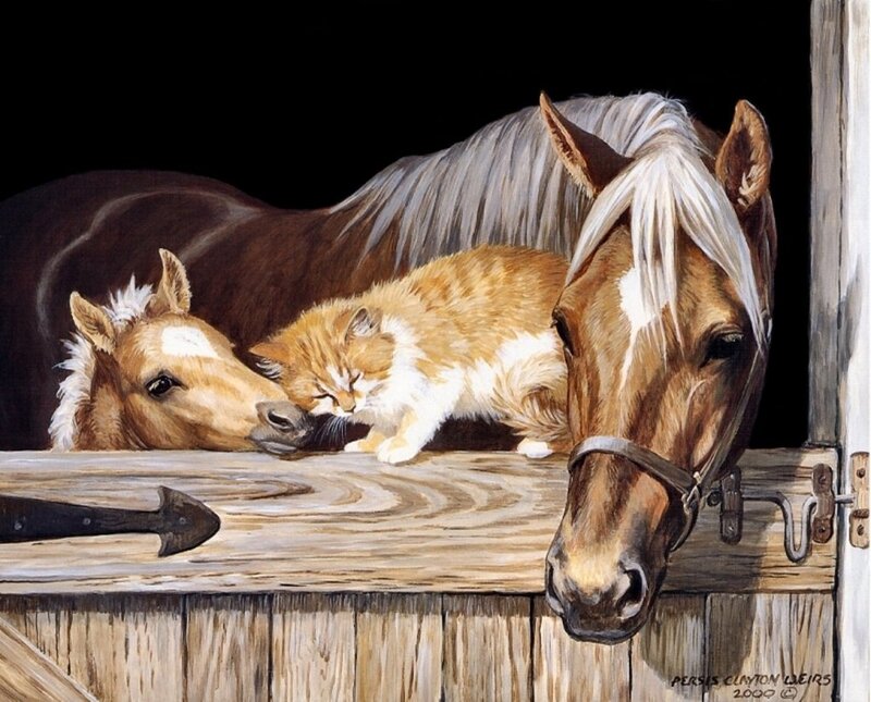 Horse and Kitten — Brown