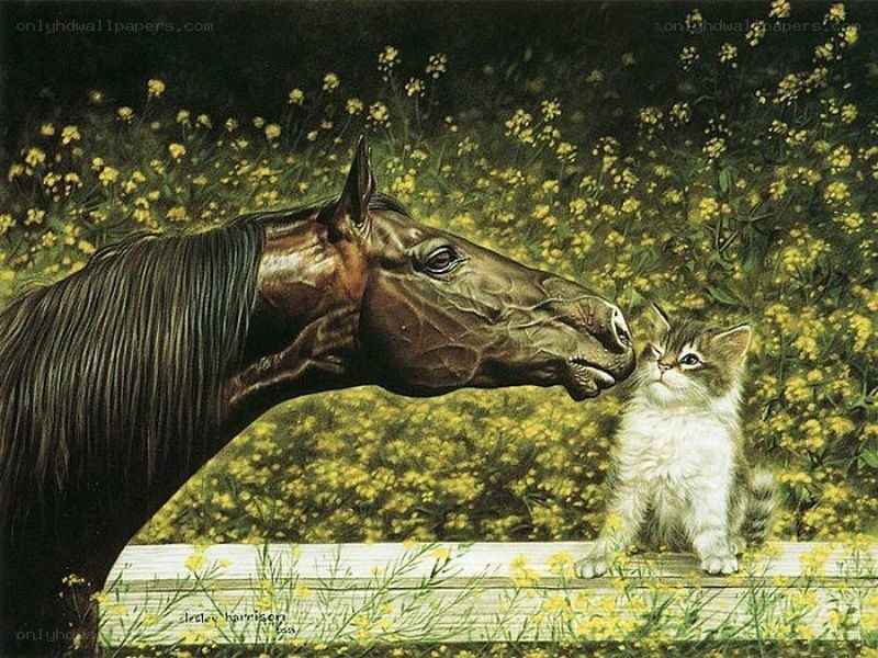 horse and kitten in flowers