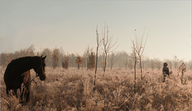Horse and Person in Field — Brown