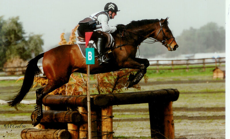 Horse and Rider Jumping — Brown, Active