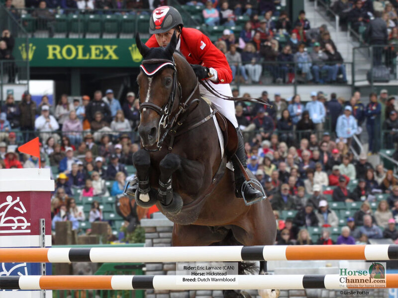 Horse and Rider Jumping — Brown, Focused