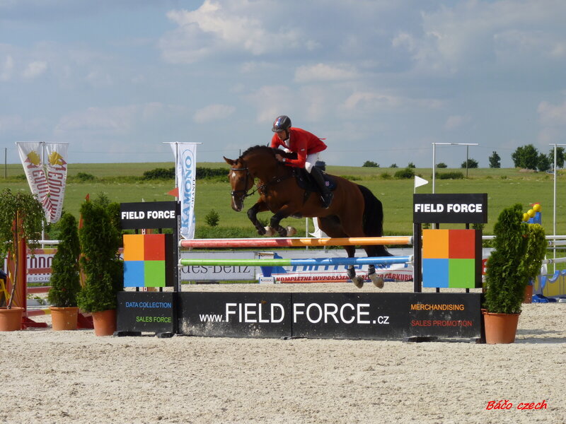 Horse and Rider Jumping — Brown