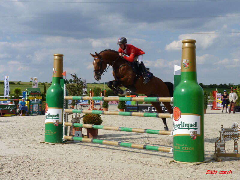 Horse and Rider Jumping — Green